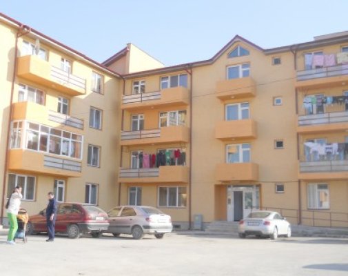 Peneliştii hârşoveni curăţă oraşul de gunoaie